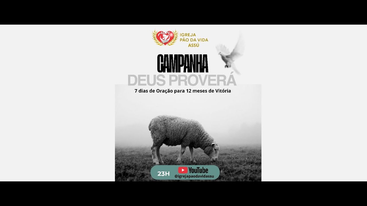 Minha transmissão