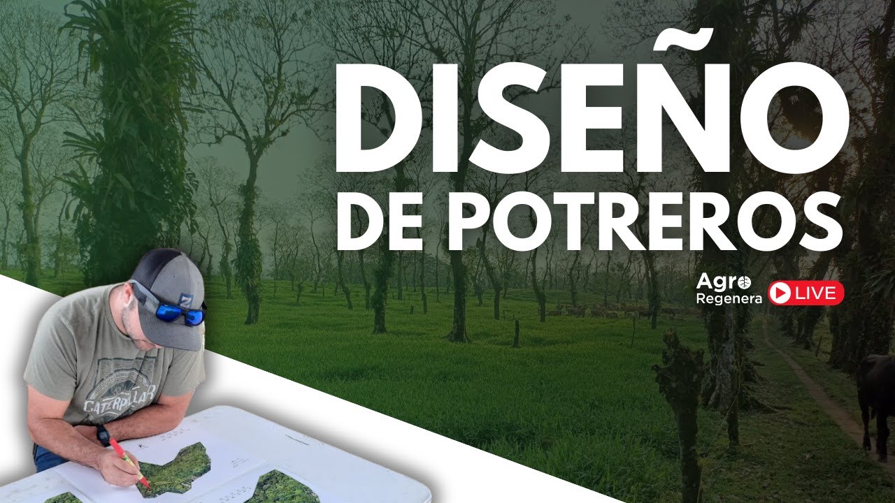Diseño de Potreros