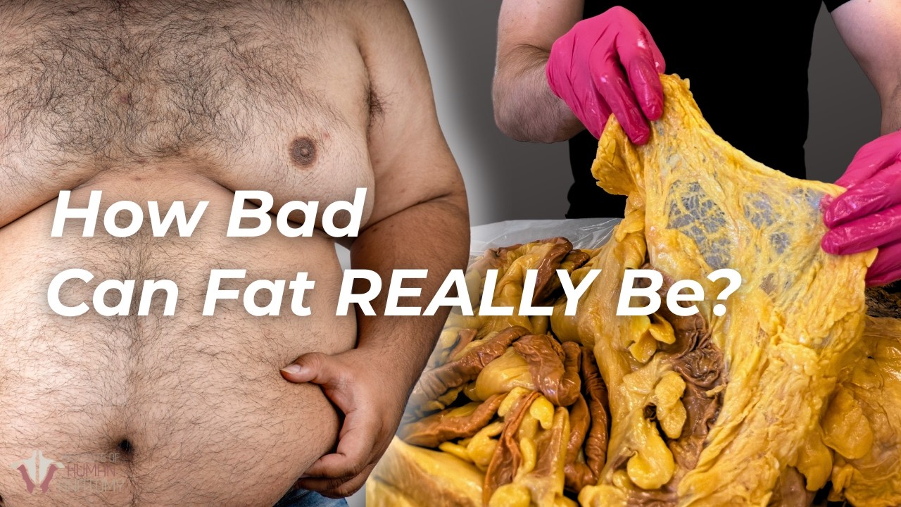 How Too Much Fat Affects Nearly Every Part of Your Body