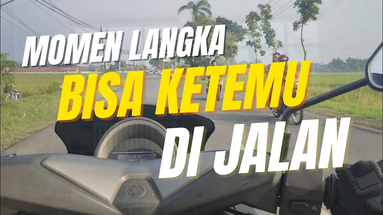 Nostalgia Lagu Terbaik Wali Band - Full Album | Lagu Wali Band Paling Hits yang Bikin Baper