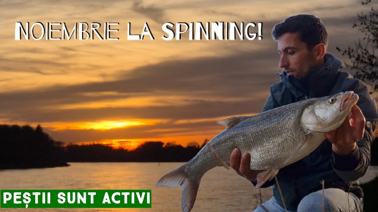 #Pescuit #Spinning în Noiembrie – #Năluca Prinzătoare de Neoprit!”