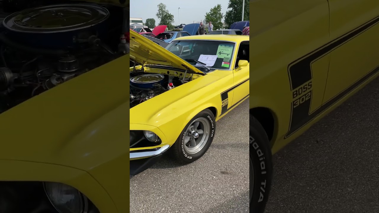 1969 Mustang Boss 302 #mustang #boss302