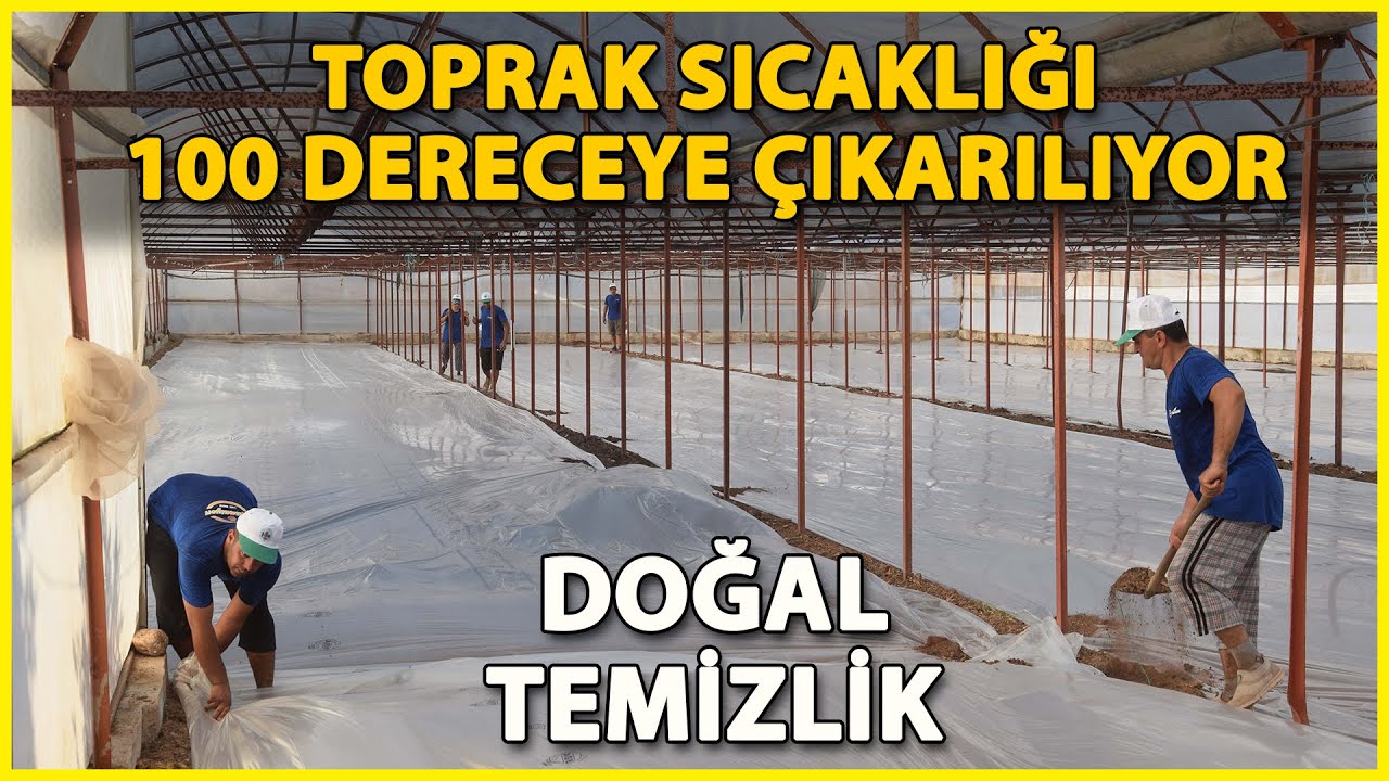 100 Derecelik Sıcaklıkla Doğal Temizlik