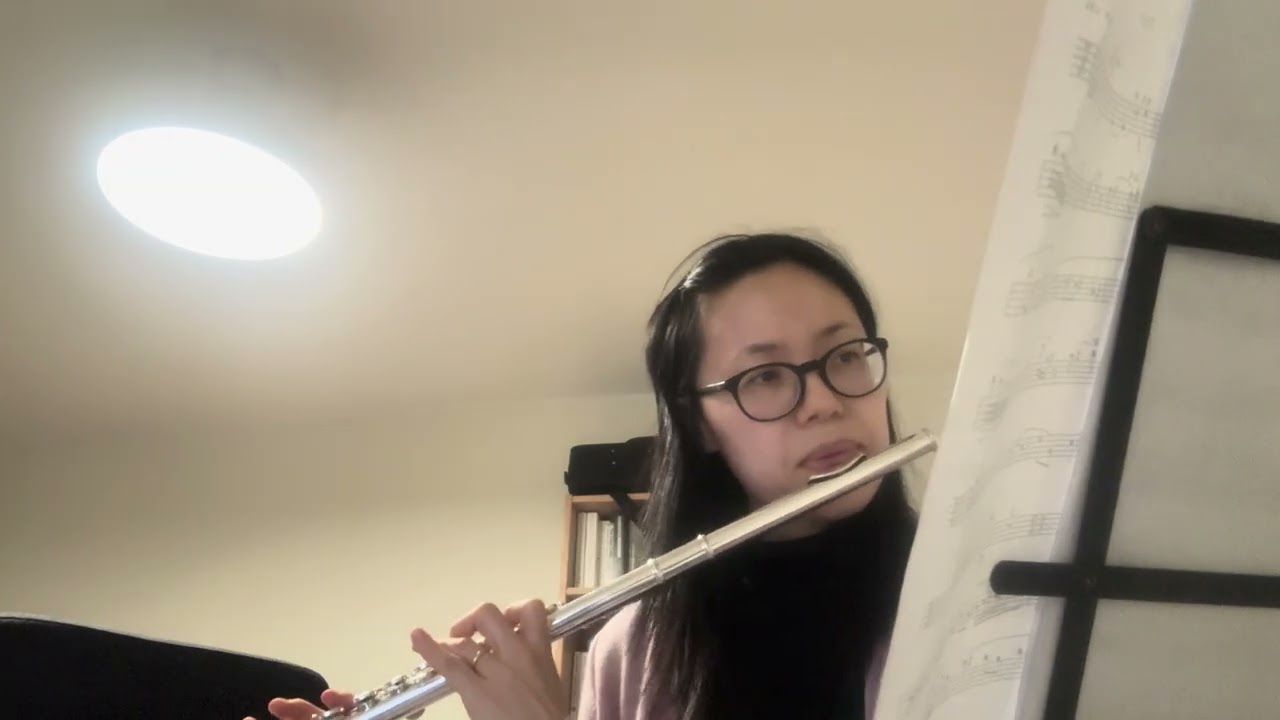 Poulenc Flute Sonata, FP 164:1. Allegro  