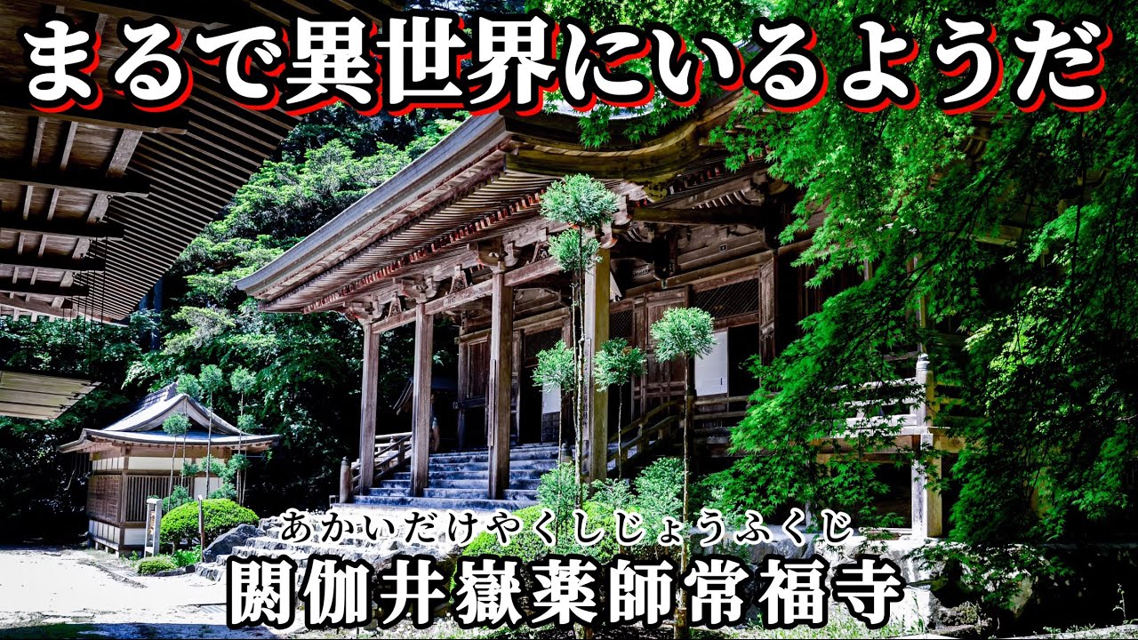 【日本の寺】福島県いわき市閼伽井嶽薬師常福寺まるで異世界のような1200年の歴史の中へ　龍燈杉　Japanese temple  cinematic LUMIXS5
