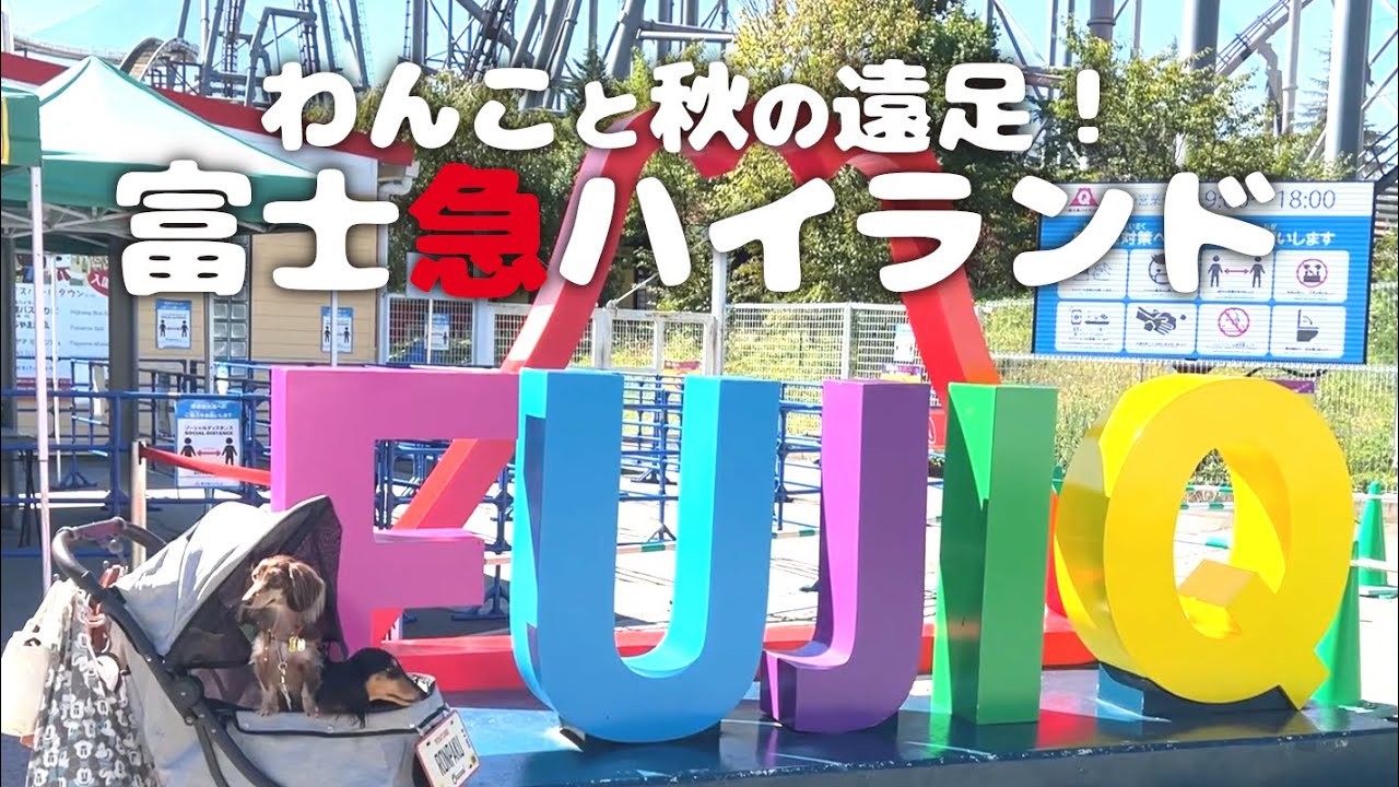 【犬連れ遊園地】富士急ハイランドに秋の遠足!わんこOKアトラクションやリサとガスパールタウンにはドッグランも!犬連れ山梨県 ペットショップの売れ残りと元保護犬とお出かけ