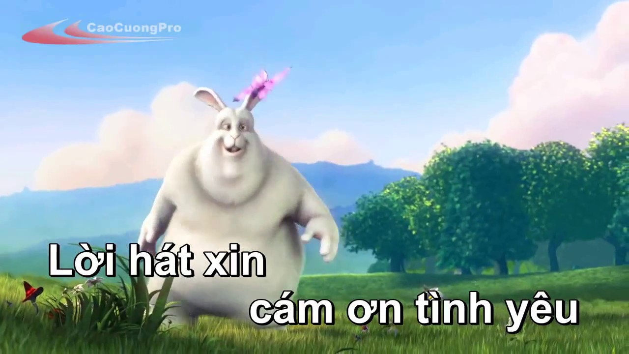 C&aacute;m ơn T&igrave;nh y&ecirc;u - Uy&ecirc;n Linh Karaoke -Cut