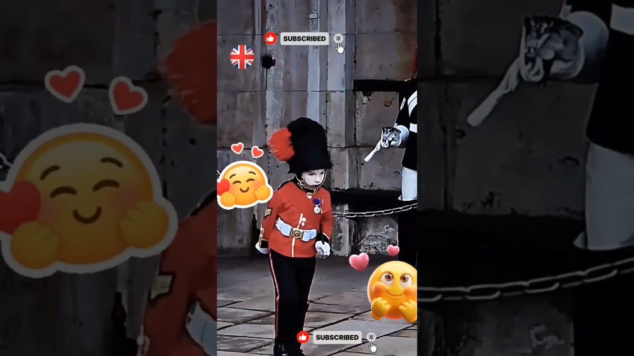 Heartwarming moment king guard horse