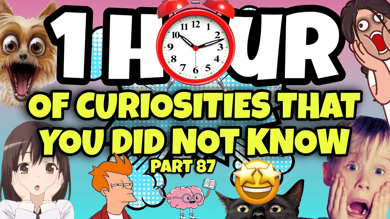 1 HOUR OF CURIOSITIES AND THINGS YOU DIDN'T KNOW 🧠⏰ #87