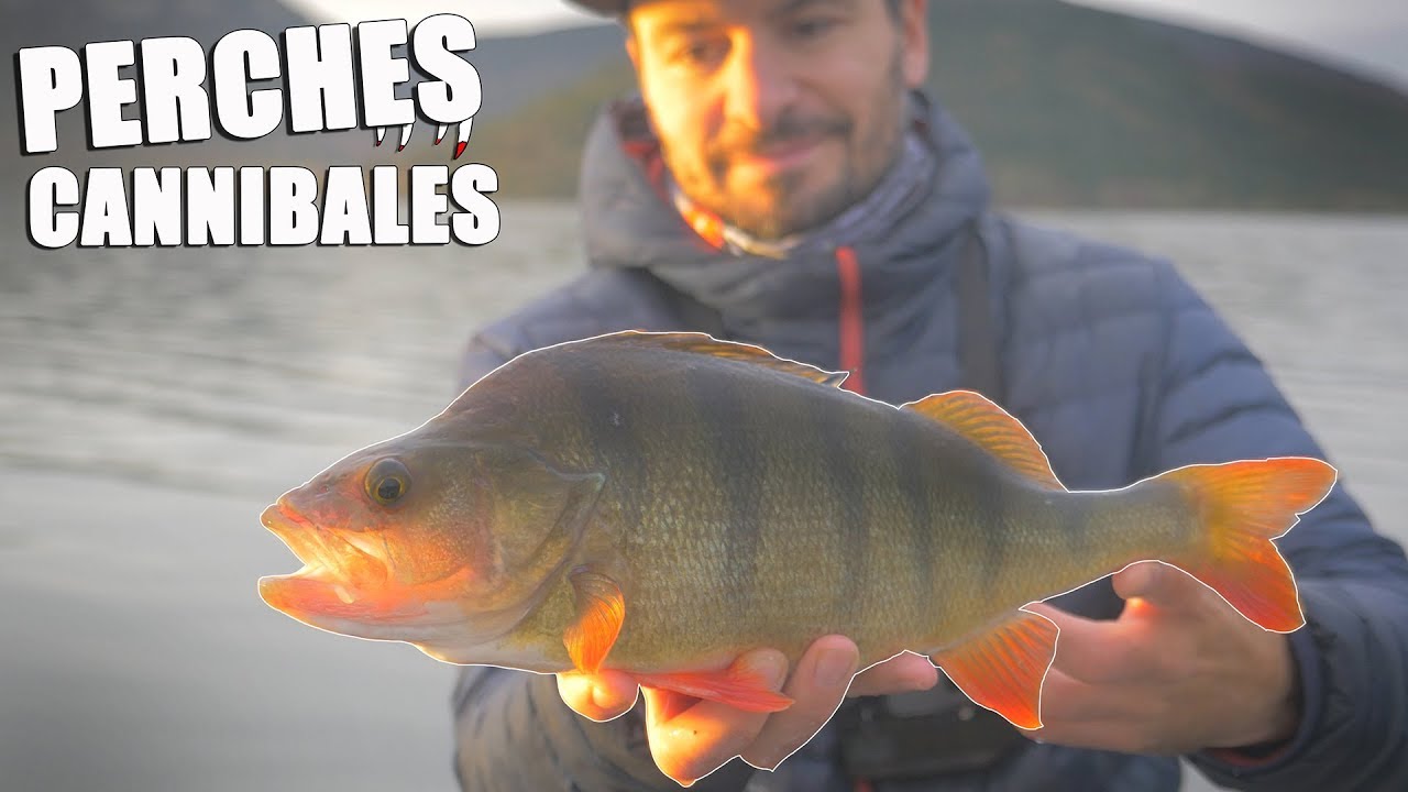 On a trouvé la COULEUR qui MARCHE !
