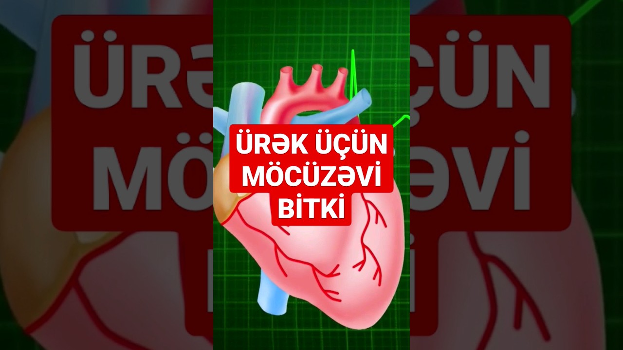 20 QƏPİKLİK &Uuml;RƏK VƏ DAMAR DƏRMANI - &Ccedil;OX ADAMIN BİLMƏDİYİ O BİTKİ