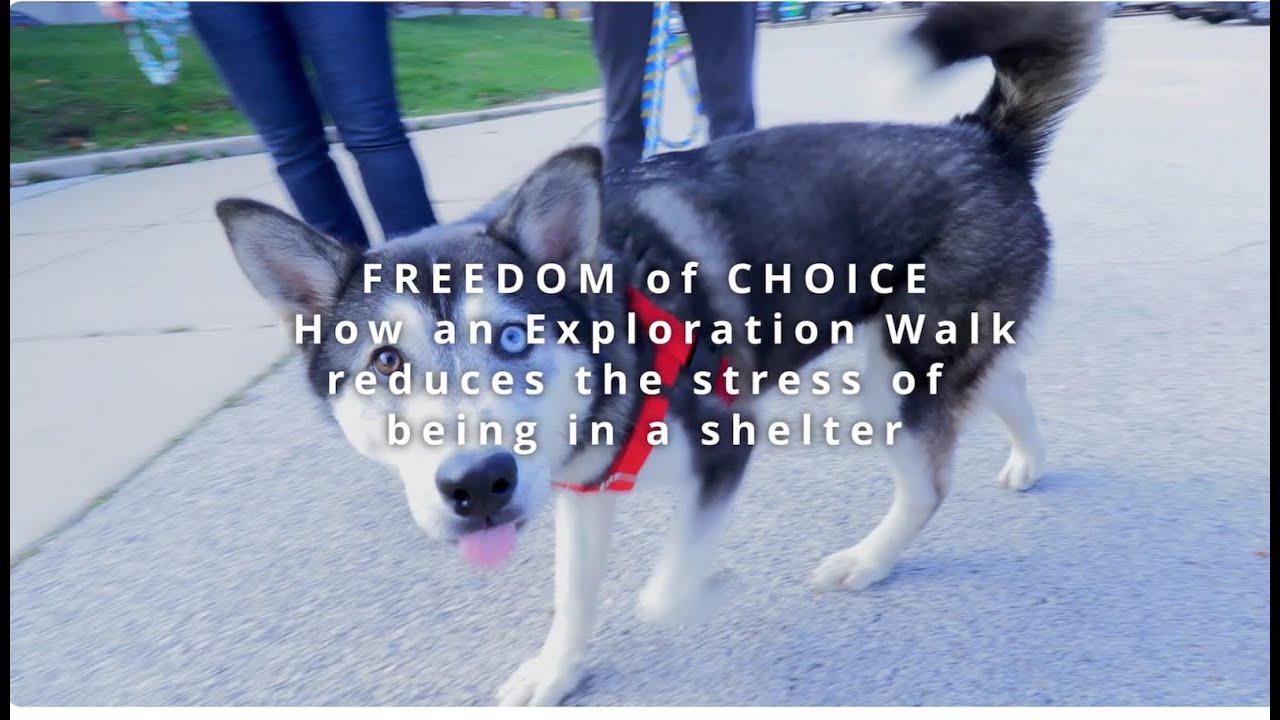 Freedom of Choice