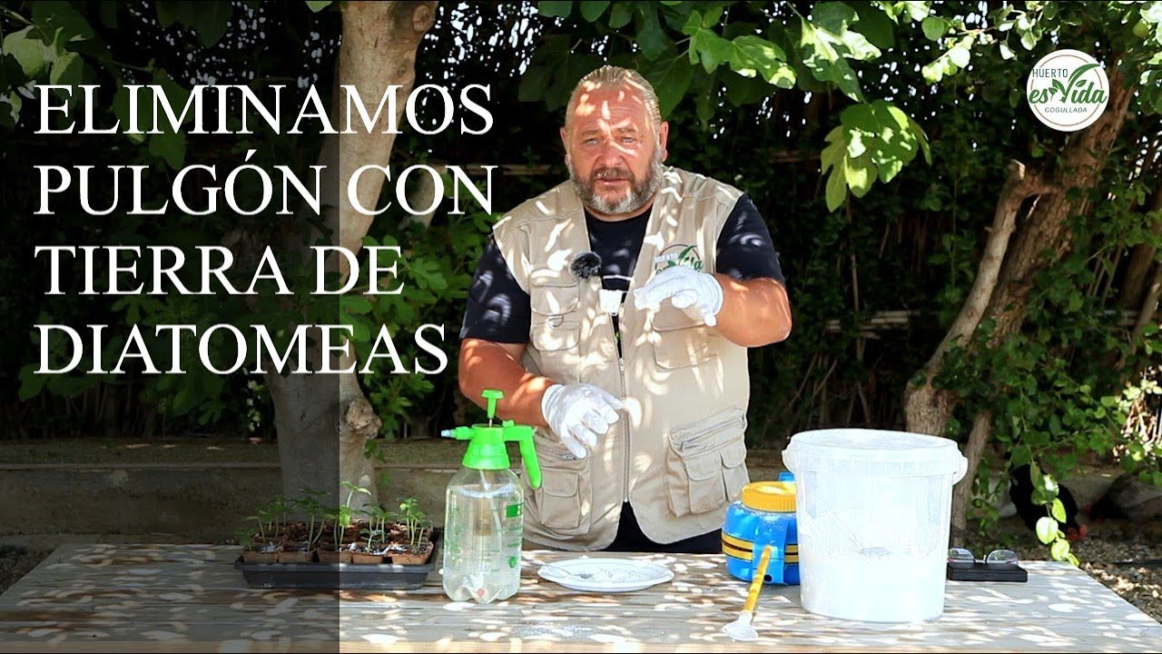 Contra el PULGON, DIATOMEA líquida