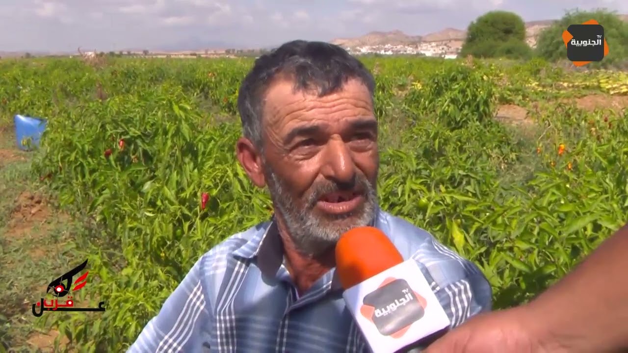 عن قرب: النفيضة.. منطقة فلاحية في حاجة إلى لفتة من السلط المعنية