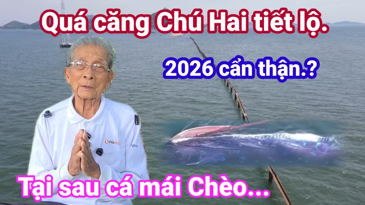 🙏Quá căng Chú Hai tiết lộ. 2026 cẩn thận.? tại sau cá mái chèo. 🙏 Cho Đời Vlog. 