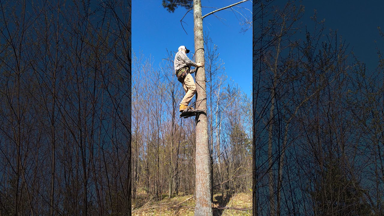 DIY summit mini climber for saddle hunting