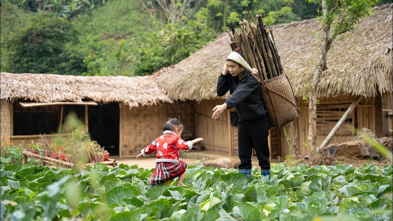 Gardening, Firewood Sword, Harvesting Vegetables, Making Traditional Village Pickles | EP. 35