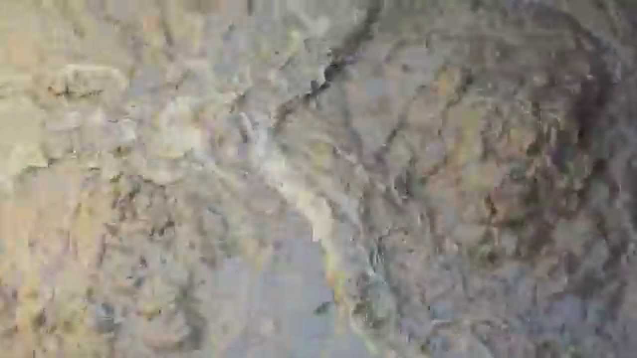 Waste Water Treatment Plant Wasted Old Sludge