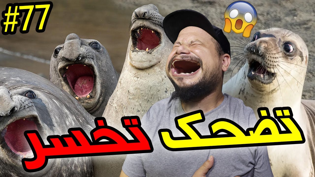 تضحك تخسر #77 : الا مضحكتيش نصوم 3 ايام بكل رجولة 😂😂