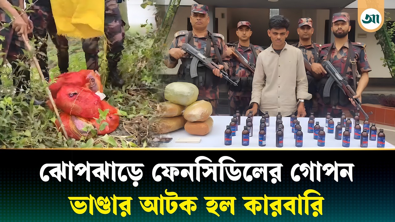 সীমান্তের ঝোপঝাড়ে লুকানো বিপুল ফে/ন/সি/ডি/লের চালান, আ/টক কারবারি | Ajker Patrika