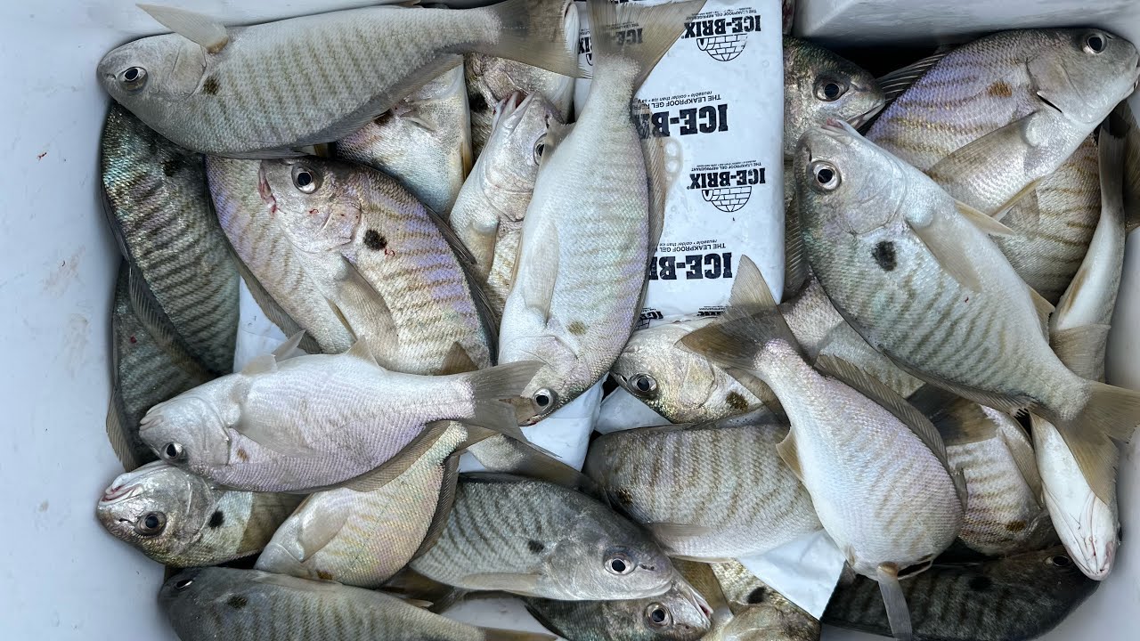 MGA PINOY ANGLER SA AMERICA ANG DAMING ISDA( VENTNOR FISHING PIER) 2025