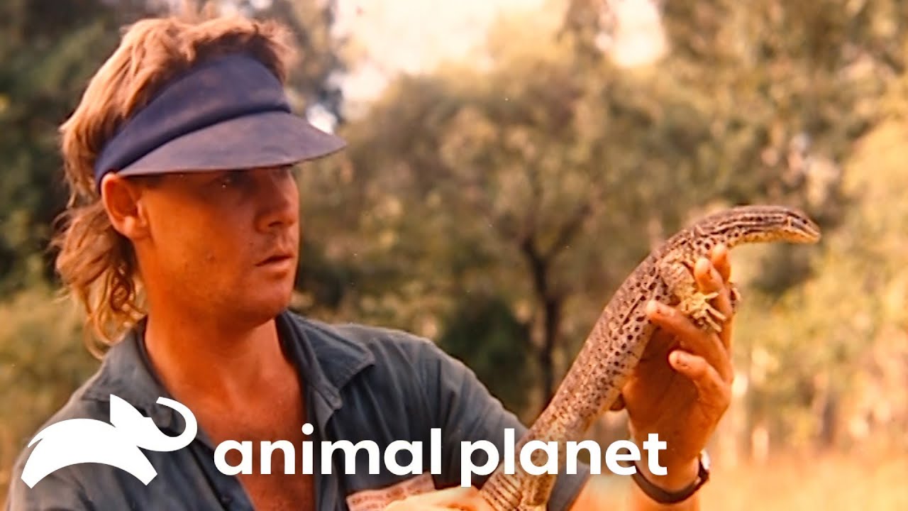 Uncovering the Legacy of Steve Irwin's Parents | Crocodile Hunter | Animal Planet