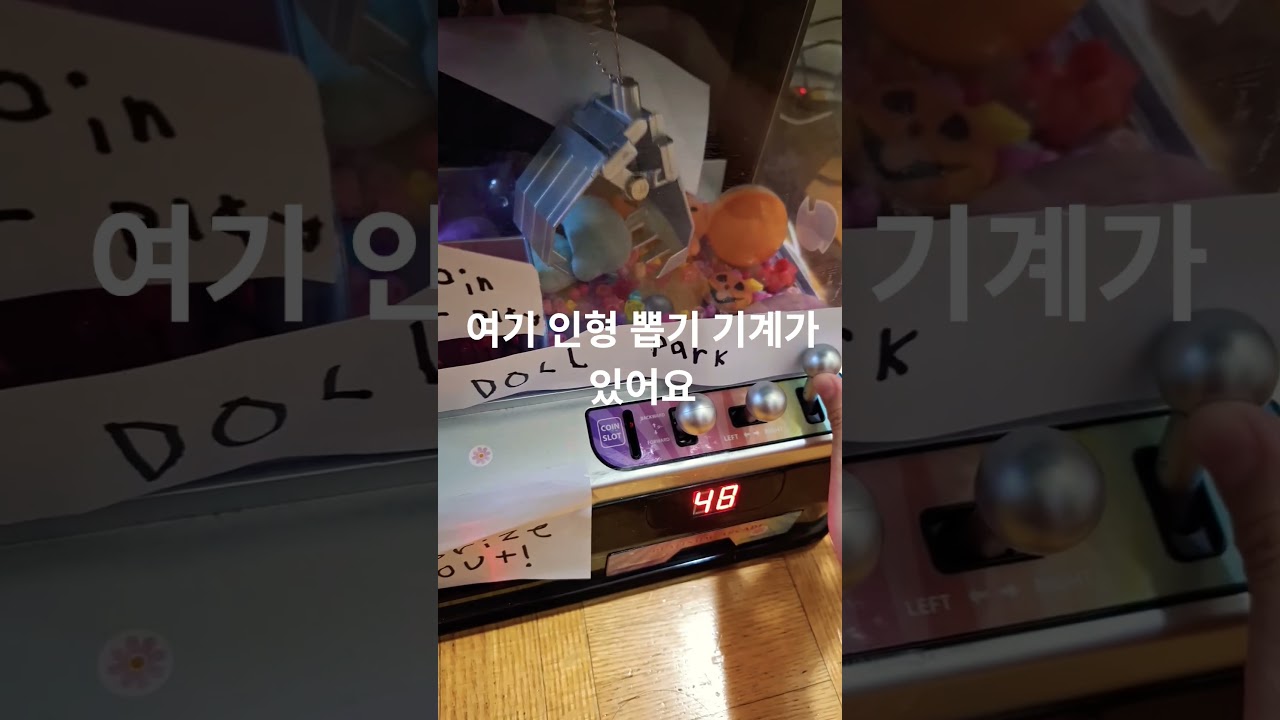 인형 뽑기 기계 진짜 미쳤다 😲