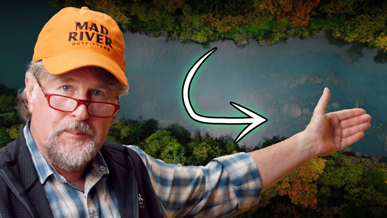 What Does it Mean to Swing Flies?