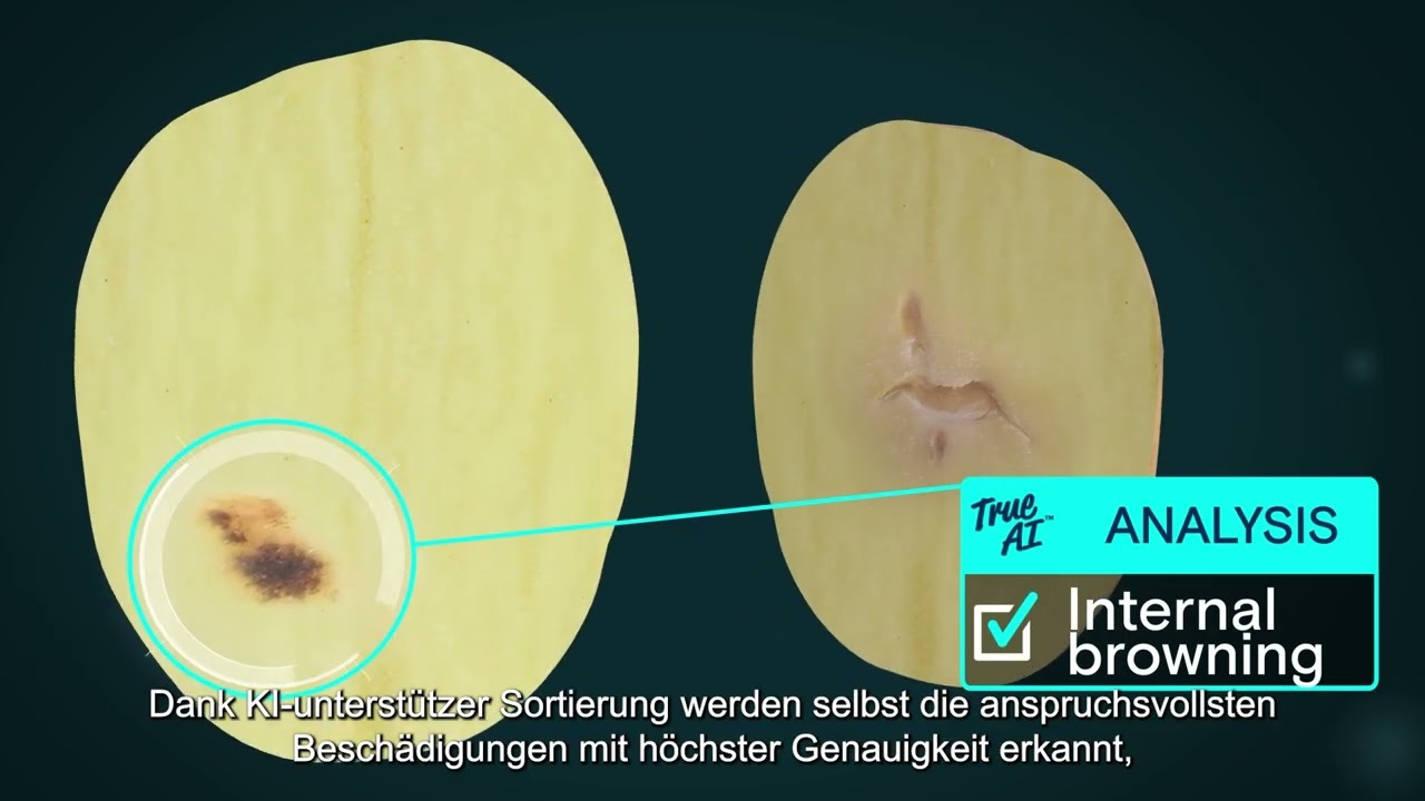 Maximieren Sie den Wert Ihrer Erntemit KI-unterstützter Kartoffelsortierung