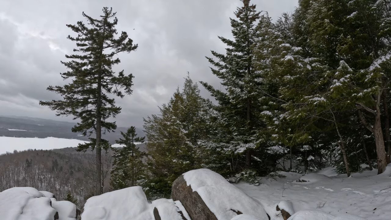 Windy Winter Day at Top Of Panther Mountain