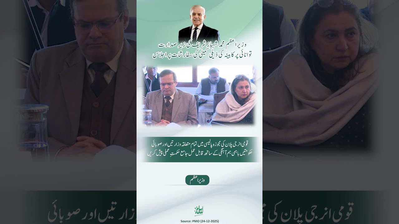 PM Shehbaz Sharif Chairs Energy Committee Meeting | Power Sector Reforms