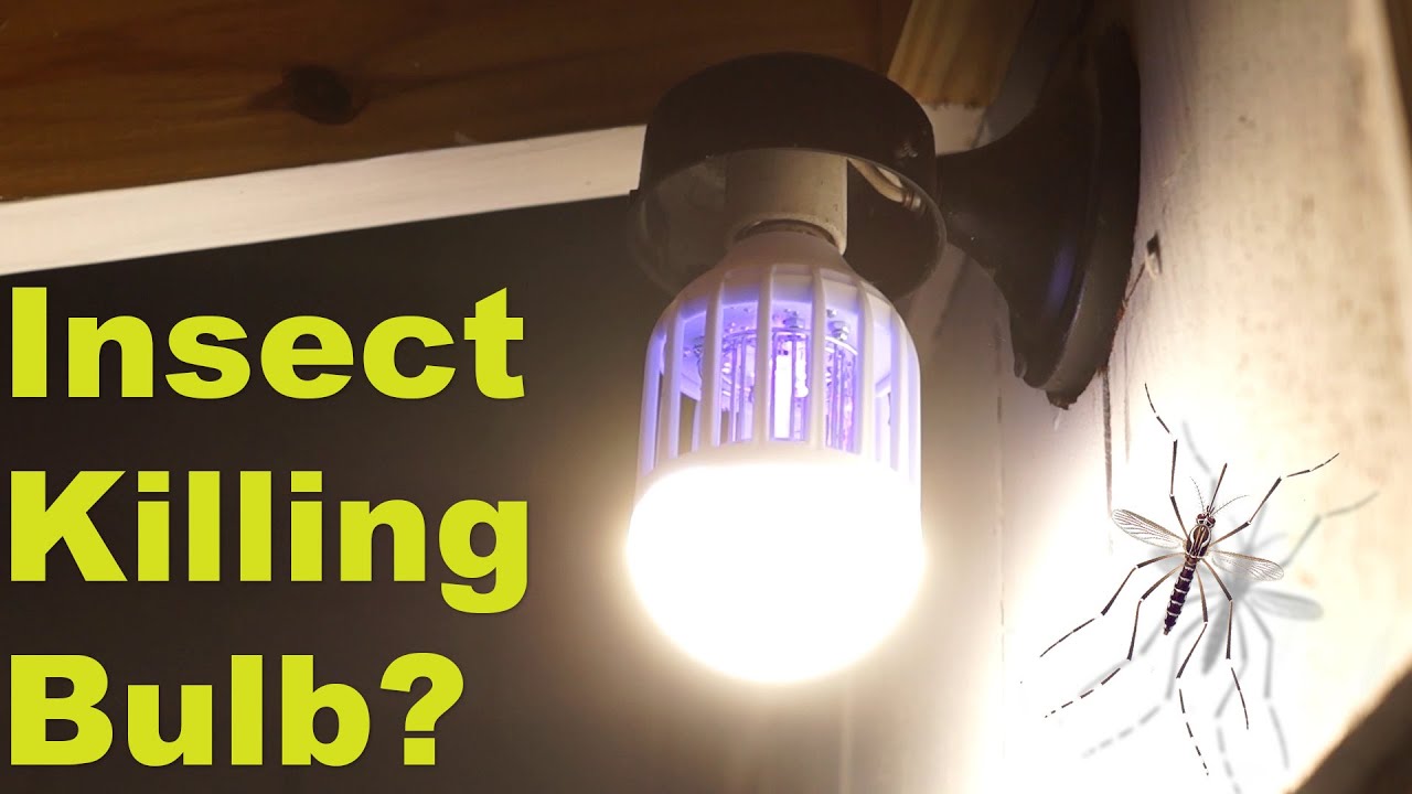 Can this 'normal' light bulb kill mosquitoes? -  Flying Insect, Moth & Wasp  Zapper Test & Review
