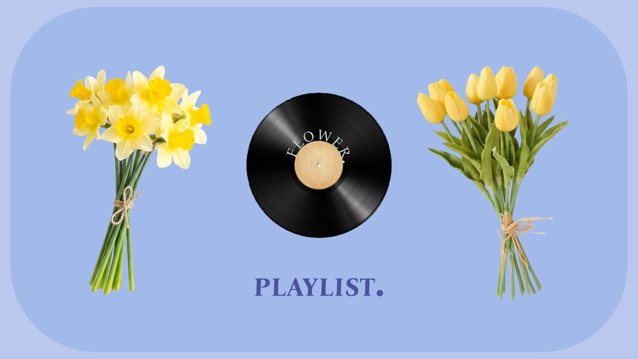 Soft Friday Afternoon | Lofi Flower Playlist | Focus & Cleaning Playlist