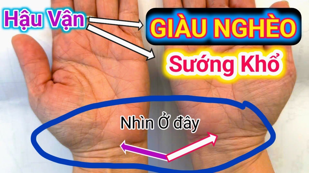 GIÀU NGHÈO- SƯỚNG KHỔ ở Hậu Vận NHÌN VÀO ĐÂY/ Xem Chỉ Tay| Cậu Thành Tử Vi (0916.188.251)