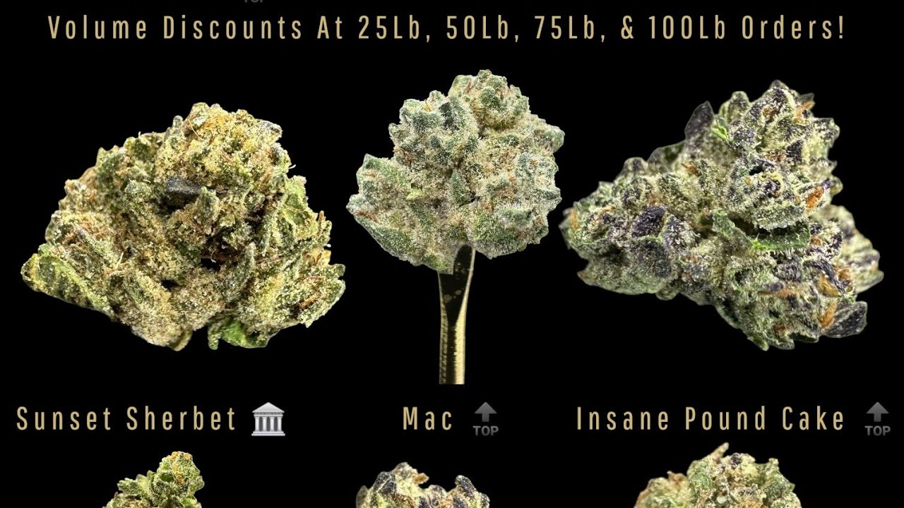 Literal Cheapest Bulk Wholesale Legal THCA Hemp Flower Pounds AA Indoor Oregon #1 Unboxing & Review