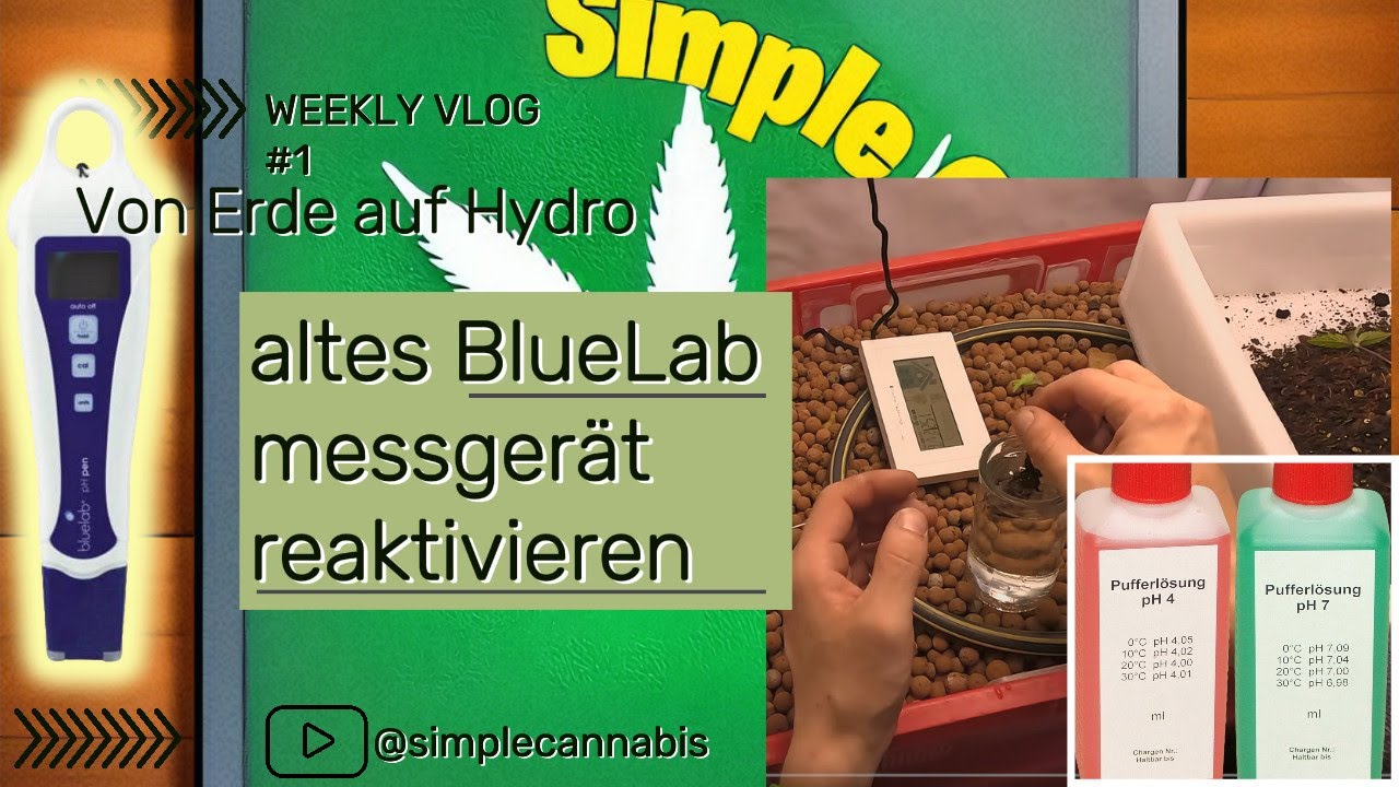 A Day in Growers Life #grow #tutorial #showtime #homegrown #homegrooming #anbauen Ganja Weed Bubatz