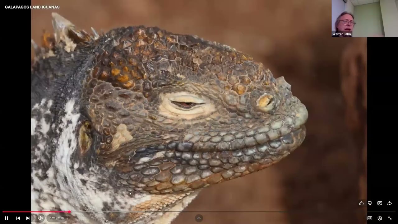 SPECIATION & THE GALAPAGOS ISLANDS
