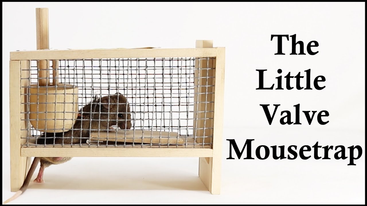 A Complicated Tinker Toy Mousetrap That Works - The Little Valve Mousetrap. Mousetrap Monday.