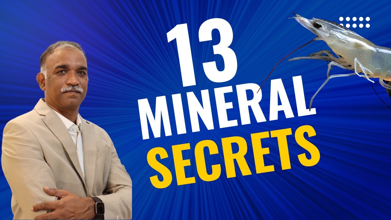 13 Mineral Secrets Every Shrimp Farmer Should Know