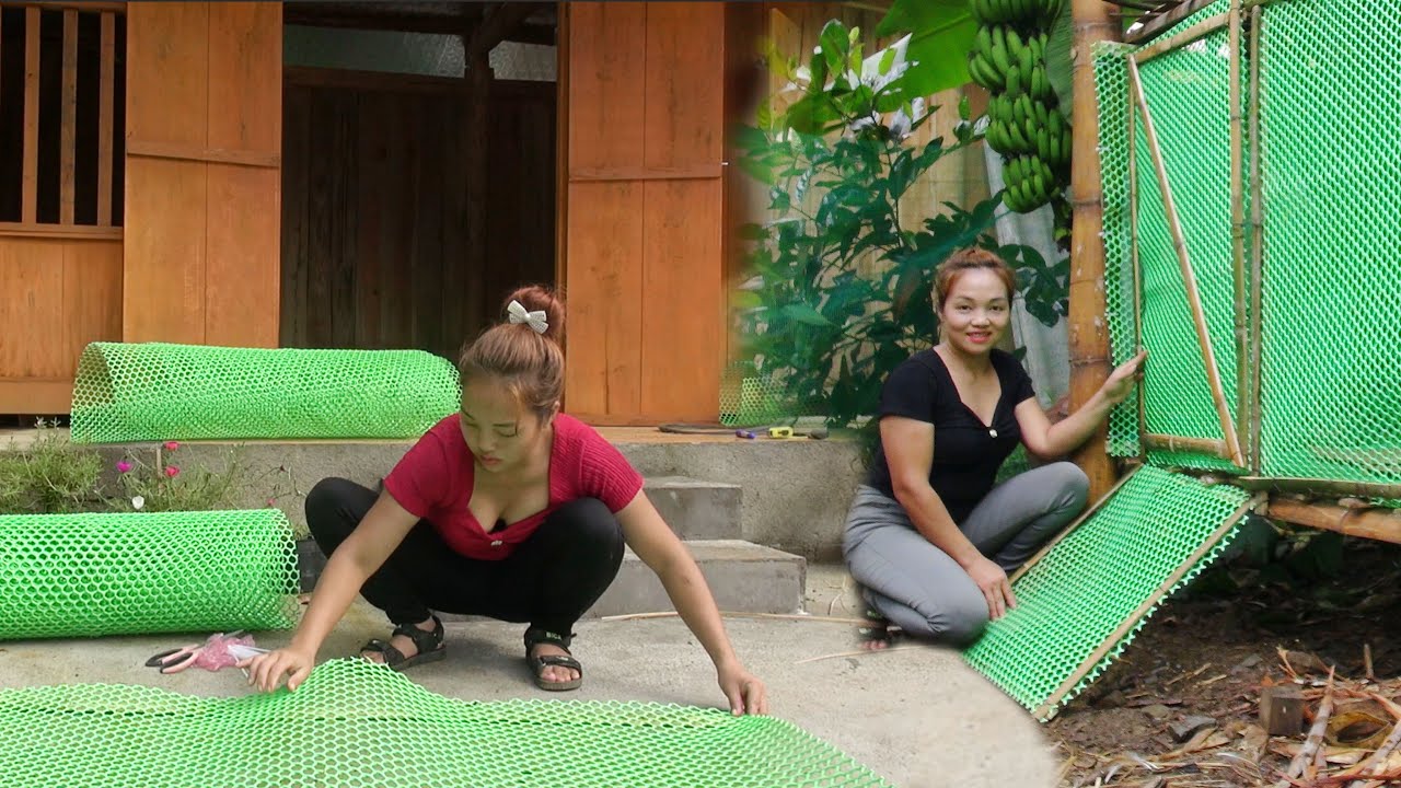 Daily Life At Farm - Construction and Finishing of Chicken Coop - Buiding of Wood and Bamboo