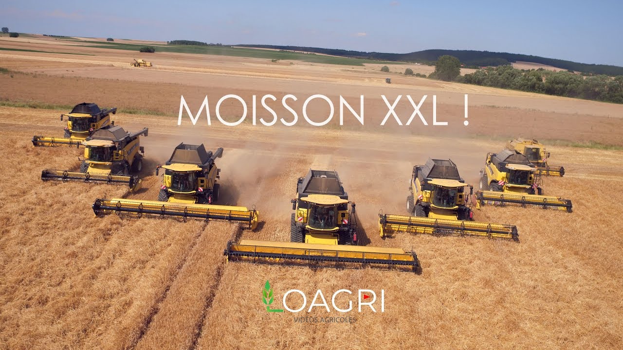 3100 CH | 60M de Coupe | 7 Moissonneuses | MOISSON 2019 XXL !