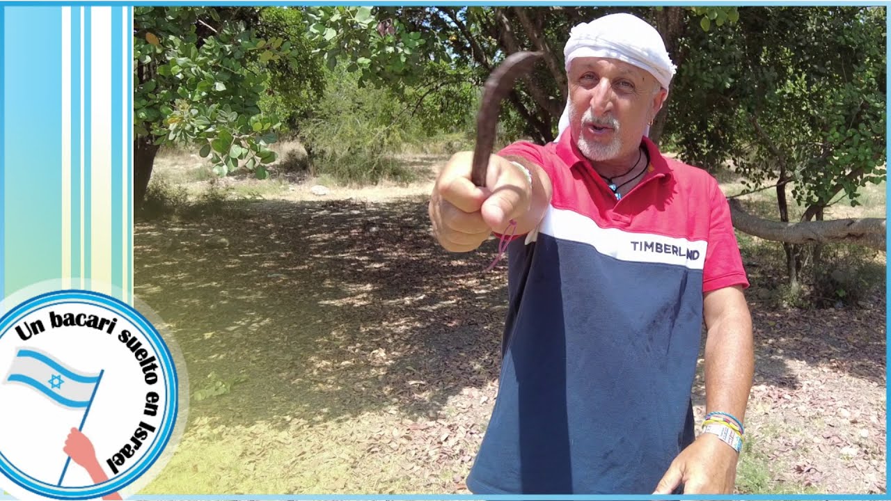 Juan el Bautista NO comia langostas sino algarrobo