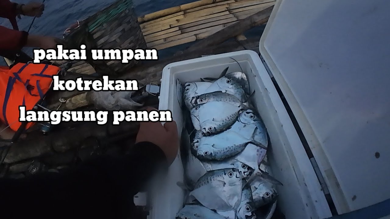 MANCING DI BADONG BAHARI 02 PALABUHANRATU, PANEN IKAN ETEM/SEMAR