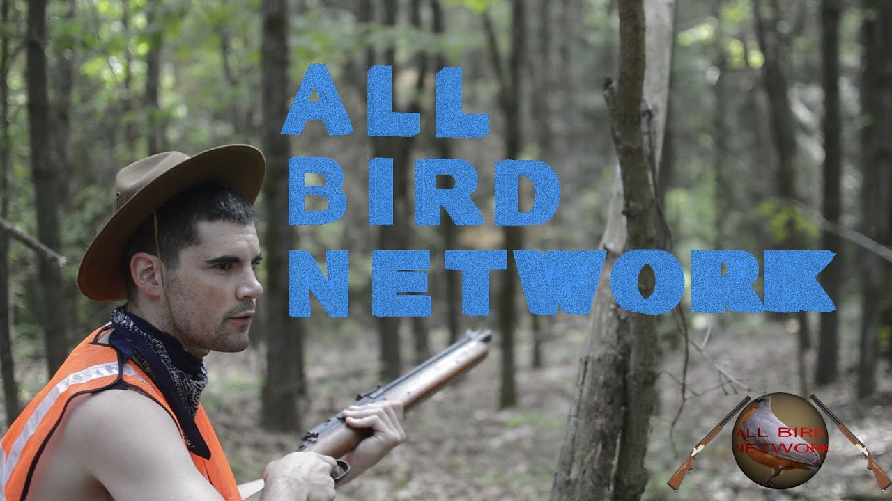 All Bird Network