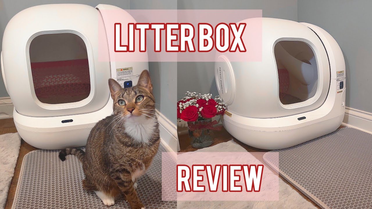 Unboxing, Testing, & Reviewing the PURA MAX Automatic Litter box!!!