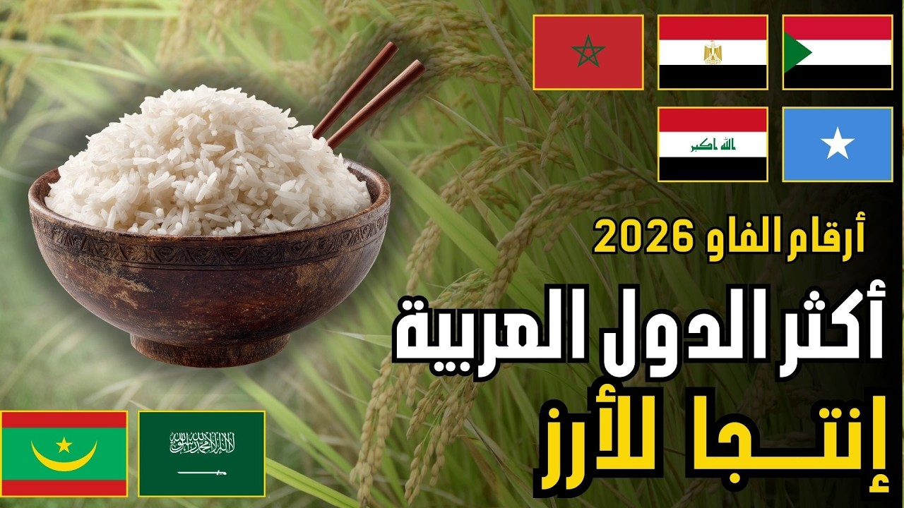 ترتيب الدول العربية في إنتاج الأرز | قد تفاجأك النتائج(FAO2026)