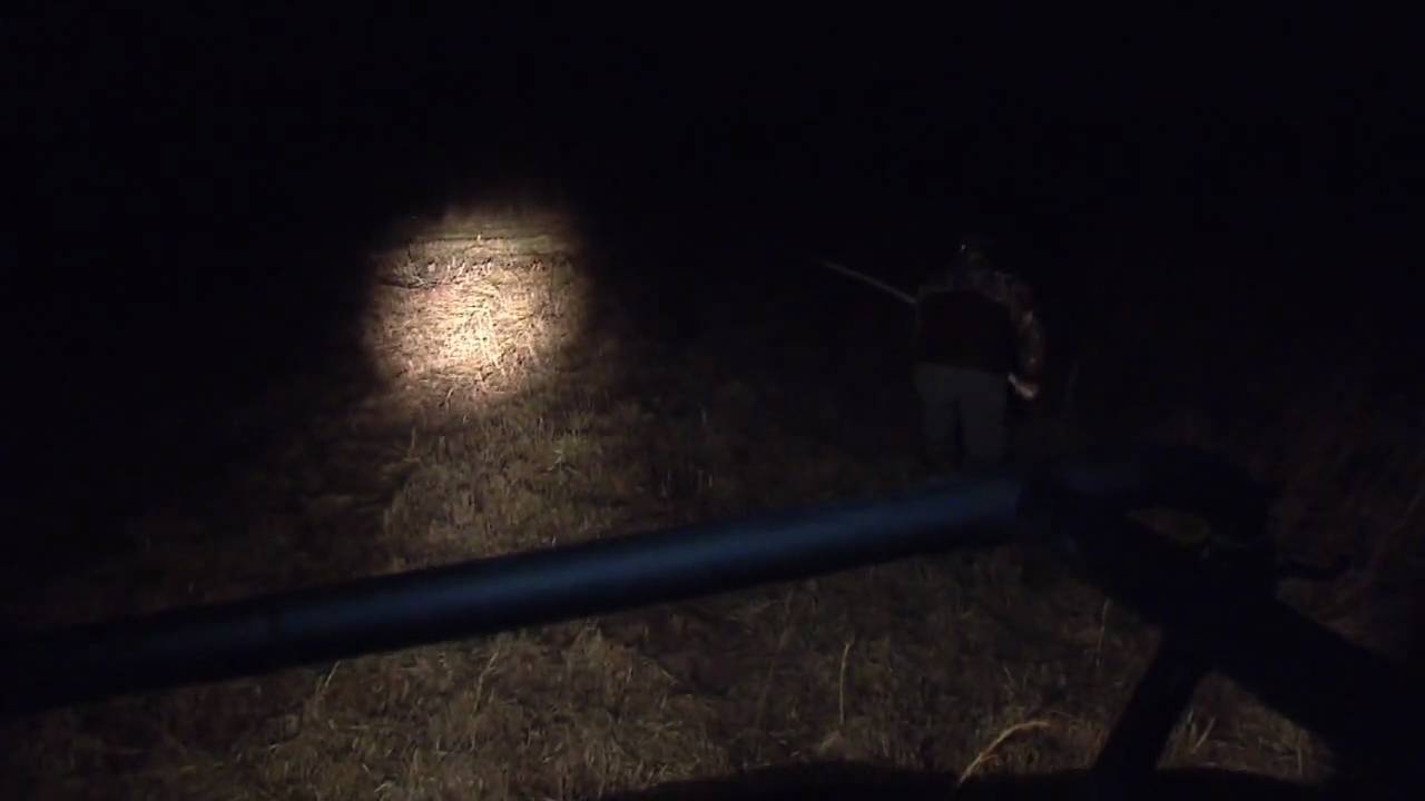 Snipe / Woodcock Hunting at Night