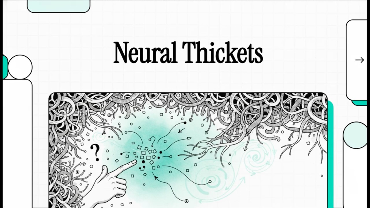 [Podcast] Neural Thickets