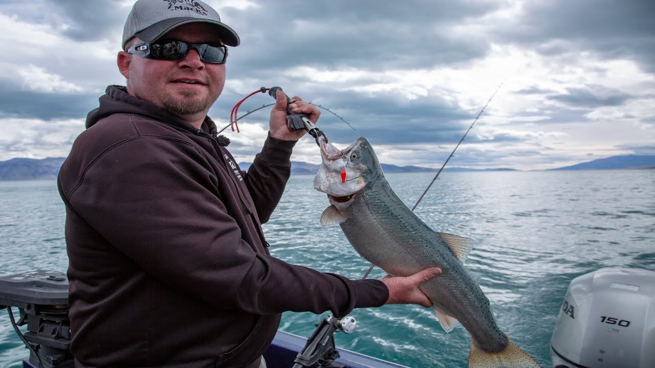 Pyramid Lake Cutthroat Trout