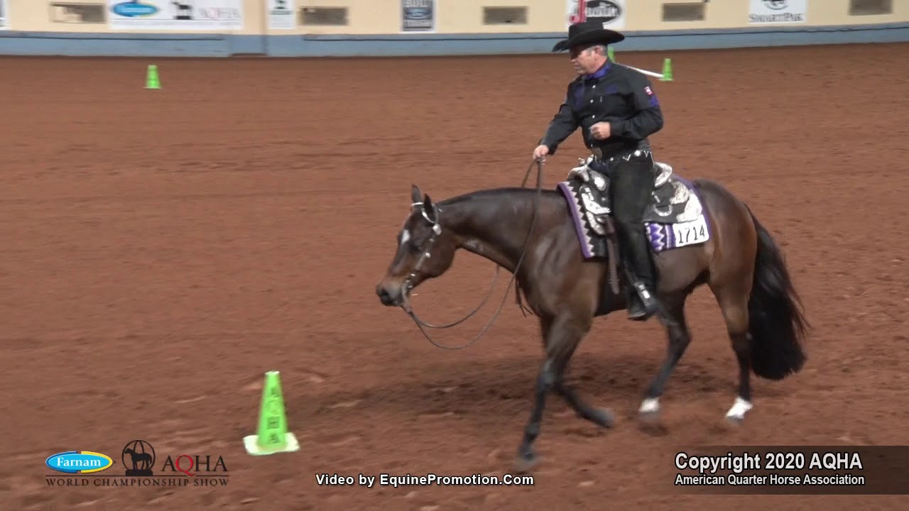 2020 AQHA Senior Western Riding